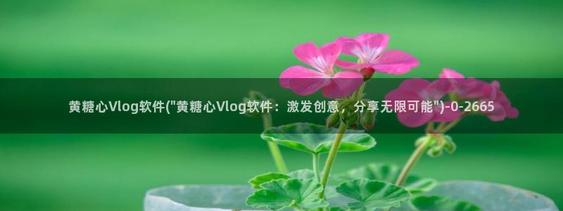 糖心vlog 苹果版：黄糖心Vlog软件(\