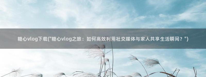 51动漫糖心vlog：糖心vlog下载(\