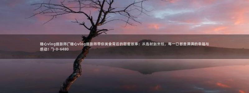 糖心vlog元气兔视频：糖心vlog摄影师(\