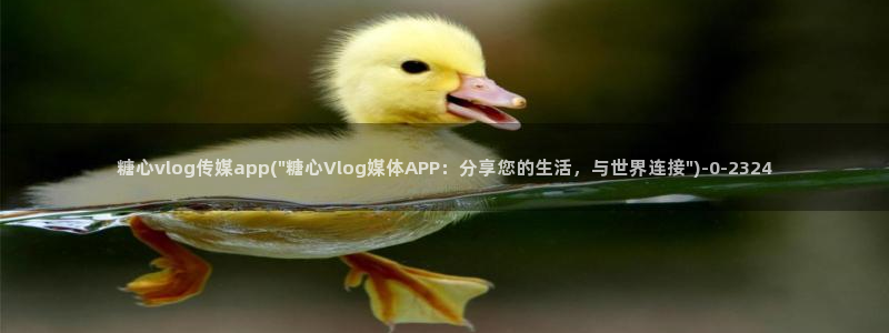 深夜放毒糖心vlog：糖心vlog传媒app(\