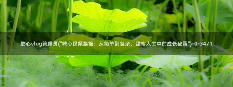 糖心vlog西施小晗：糖心vlog管理员(\