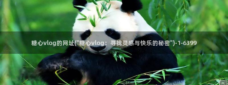 糖心vlog兔兔：糖心vlog的网址(\