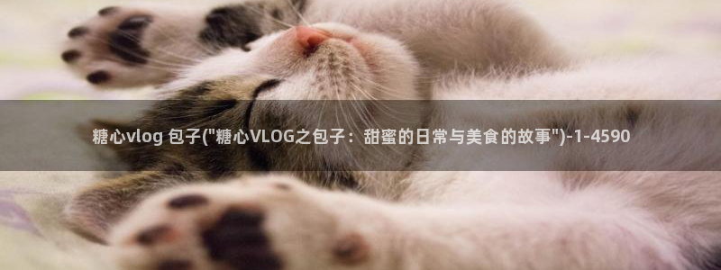 糖心vlog下载版：糖心vlog 包子(\